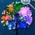 Forest Hidden Stars